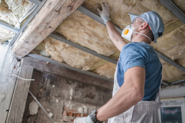 Best Attic Insulation Installation  in Benson, MN